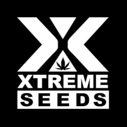 Xtreme Seeds