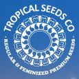 Tropical Seeds Company