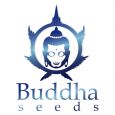 Buddha Seeds