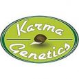 Karma Genetics