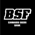 BSF Seeds