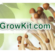 GrowKit Magic Mushrooms