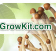 Champignons magiques - GrowKit 