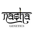 Nasha Genetics