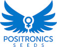 Positronics Seeds