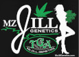 TGA Mz Jill Genetics