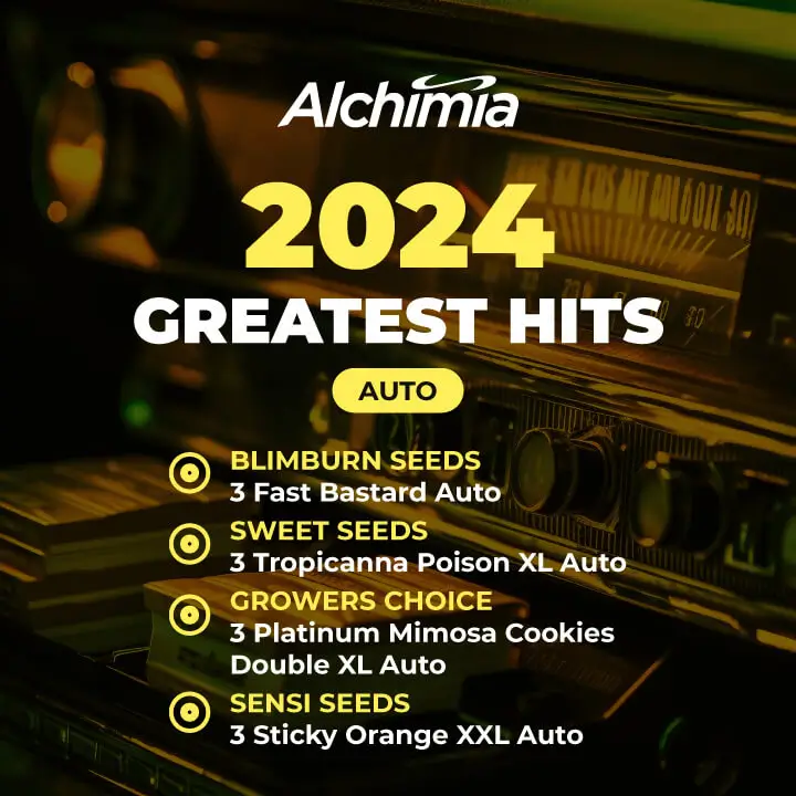 Alchimia Greatest Hits Auto