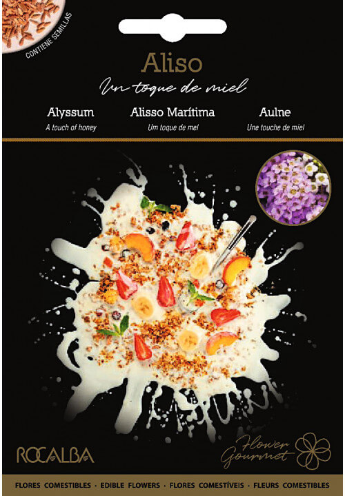 Alyssum
