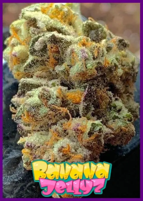 Banana Jelly'Z