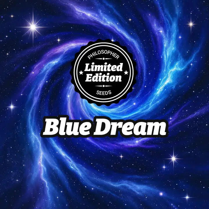 Blue Dream