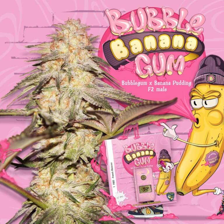 BubbleBananaGum