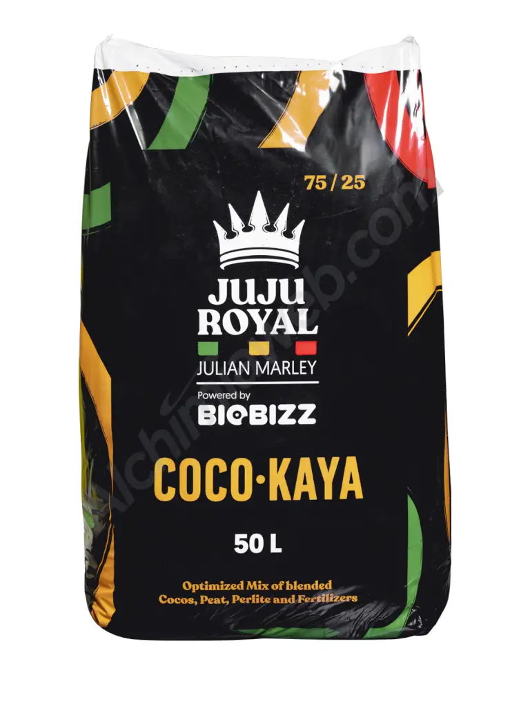 Coco Kaya Juju Royal Biobizz