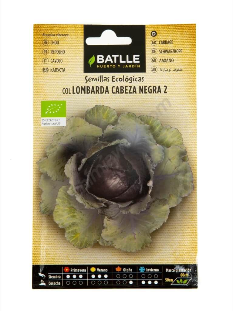 Batlle Black-headed Cabbage 2