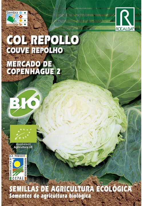 Repollo Mercado de Copenhague 2 Bio de Rocalba