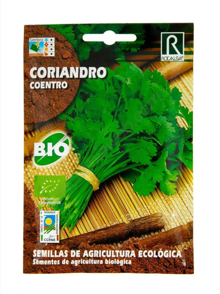 Coriandre Rocalba Bio