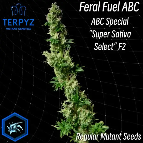 Feral Fuel
