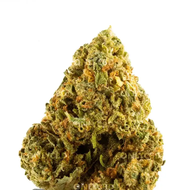 Bluecheese Greenhouse CBD-Blüten von Only CBD