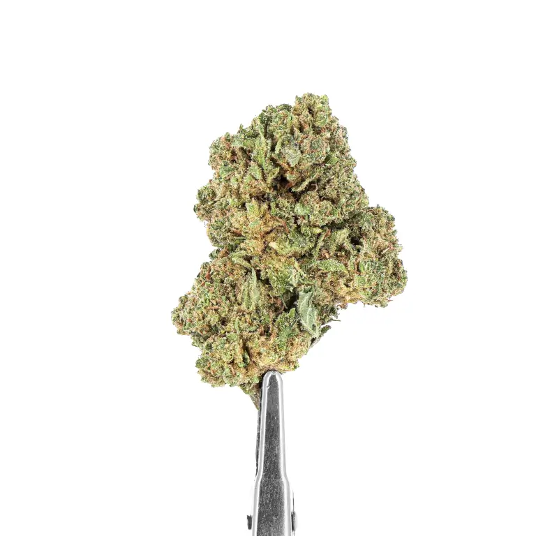 Fleurs de CBD Blue Dream Indoor