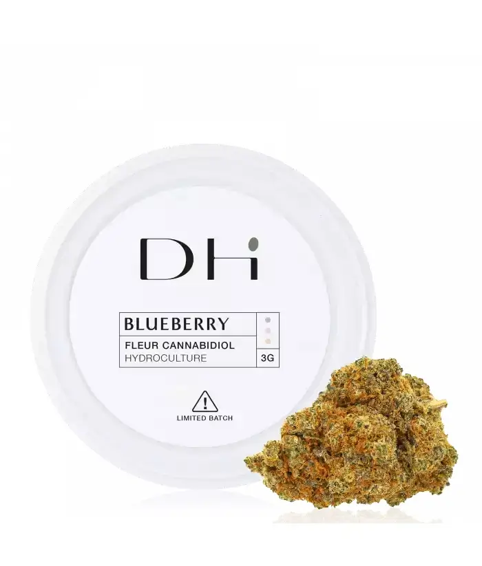 Flores de CBD Blueberry Hidro