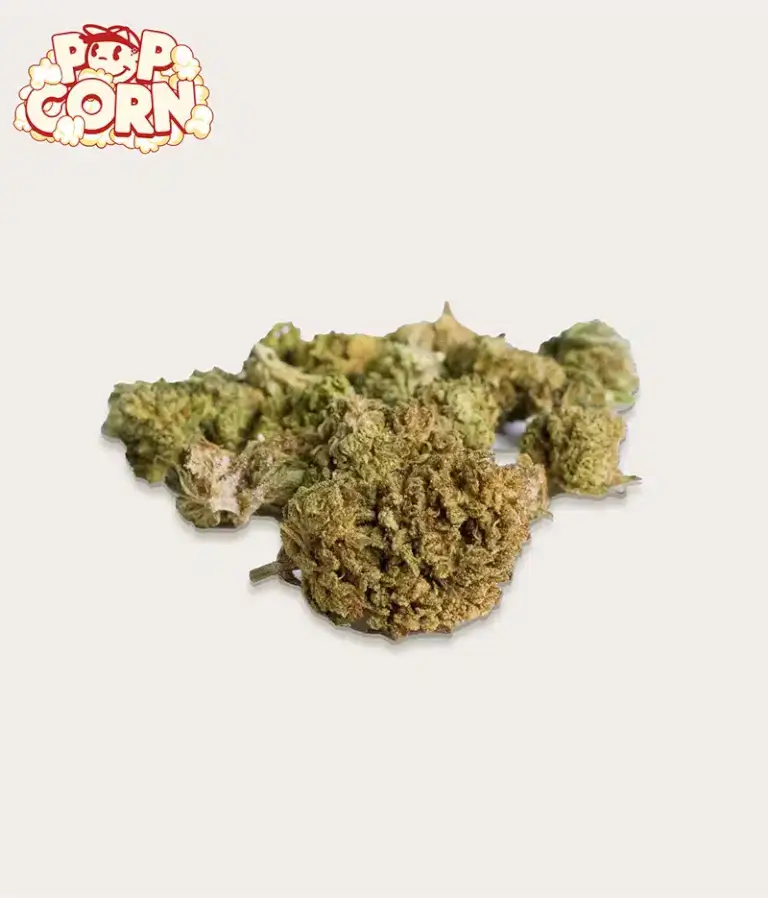 Fleurs de CBD Popcorn Sweet Mandarine - Greenhouse