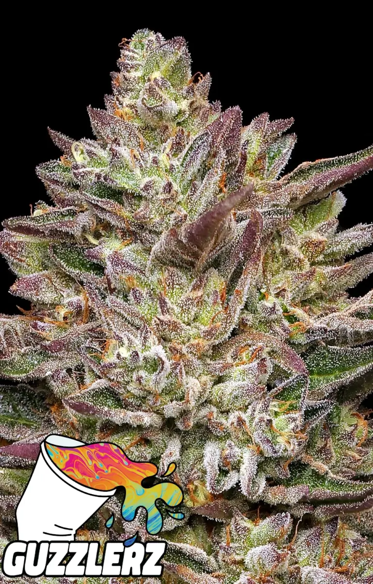 Guzzlerz