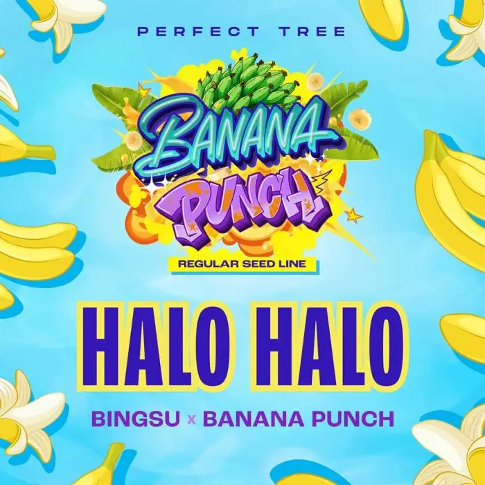 Halo Halo