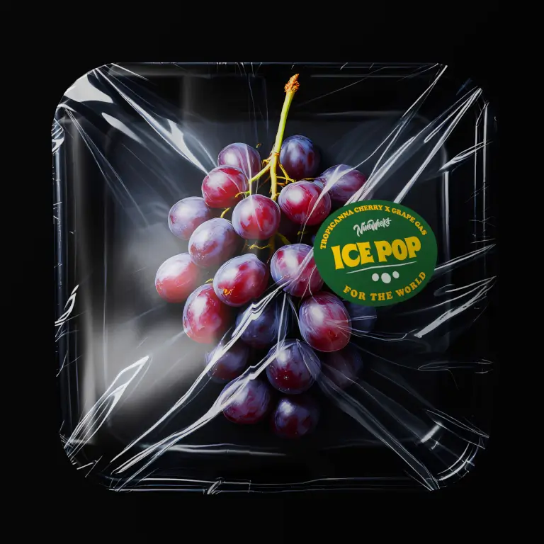Ice Pop