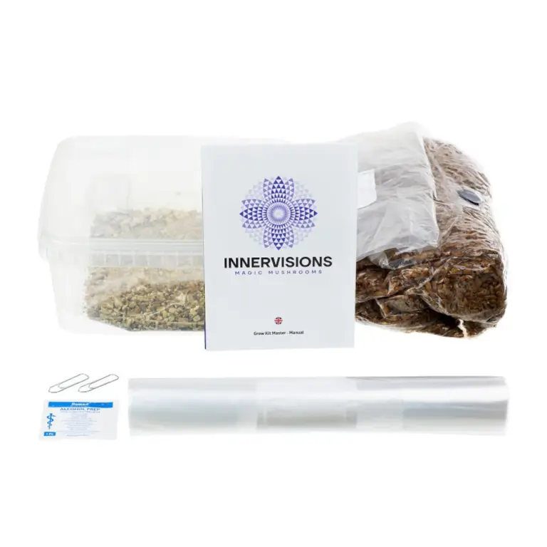 Kit de culture de champignons Psilocybes Cambodgien Innervisions
