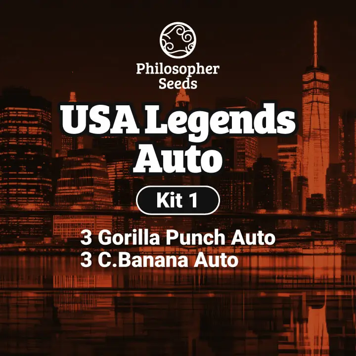 USA Legends Auto I