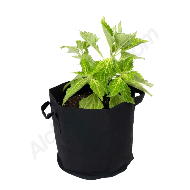 Fabric pot with handles