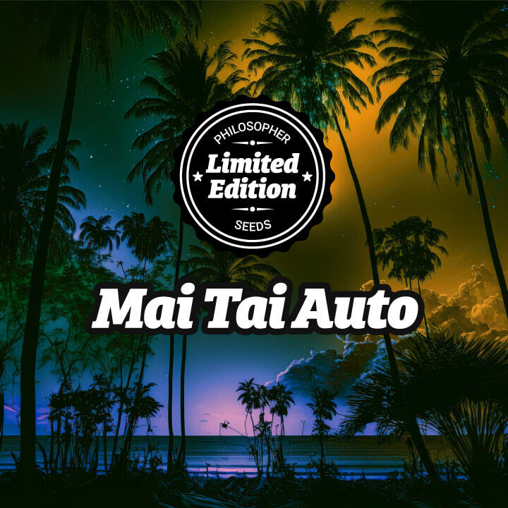 Mai Tai Auto