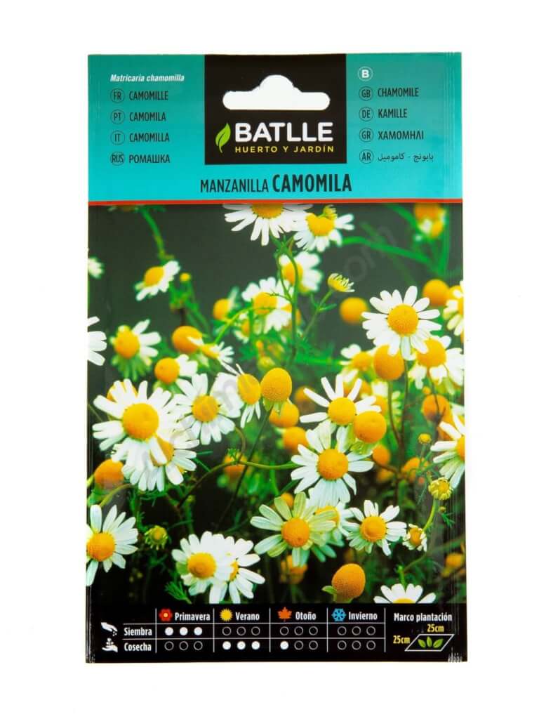 Camomile