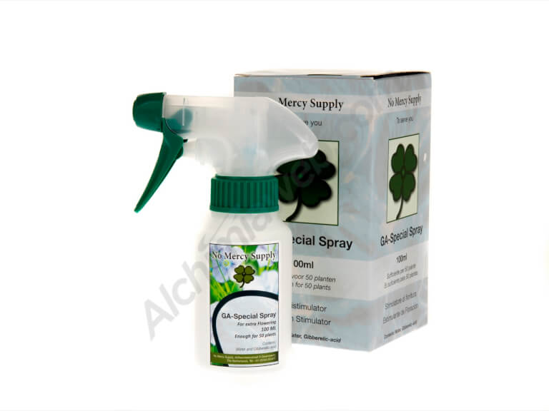 No Mercy Supply GA special spray