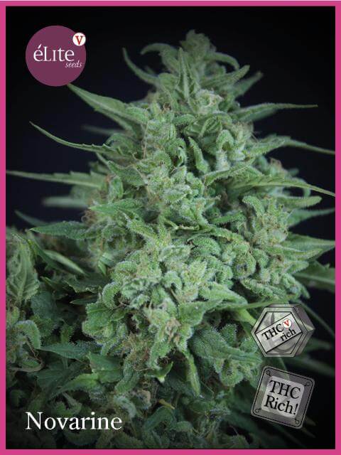 Novarine THCV