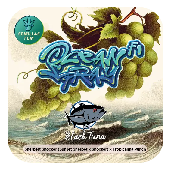 Ocean Spray