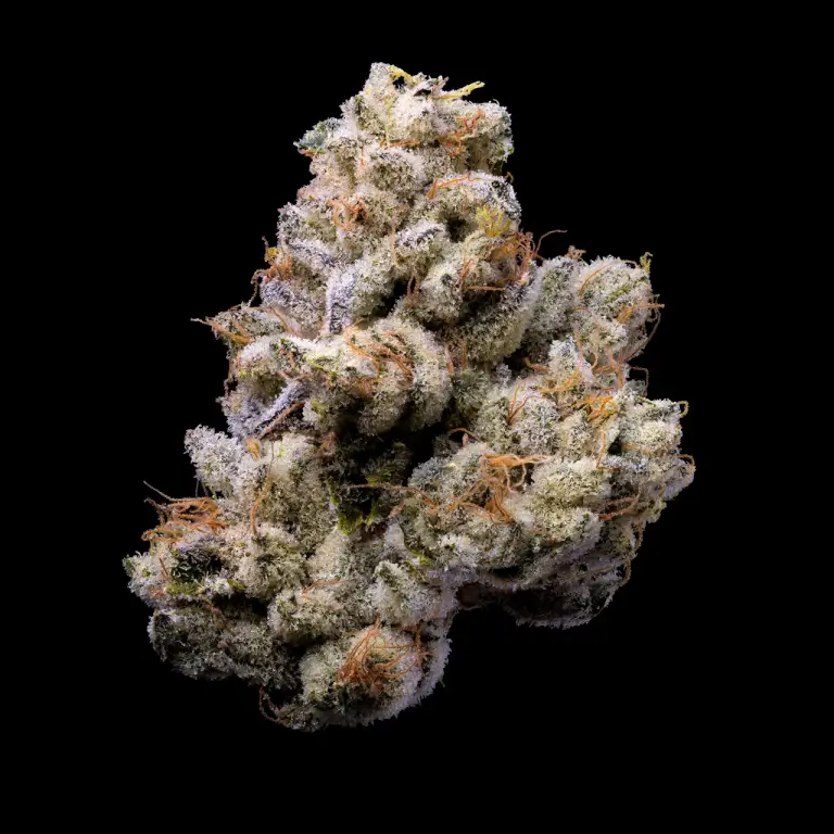 Orange Cake - Lemonnade Seeds