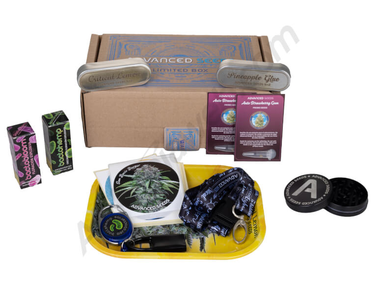 Pack Regalo Advanced Seeds