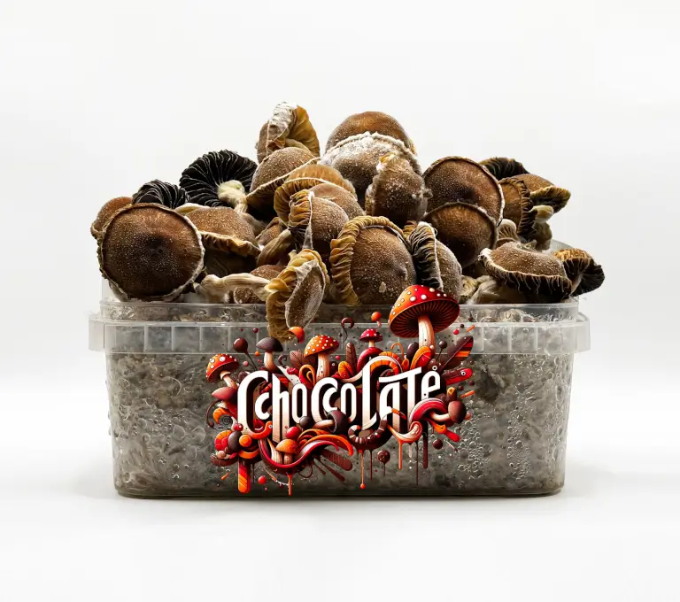 Chocolate Magic Mushroom Grow Kit