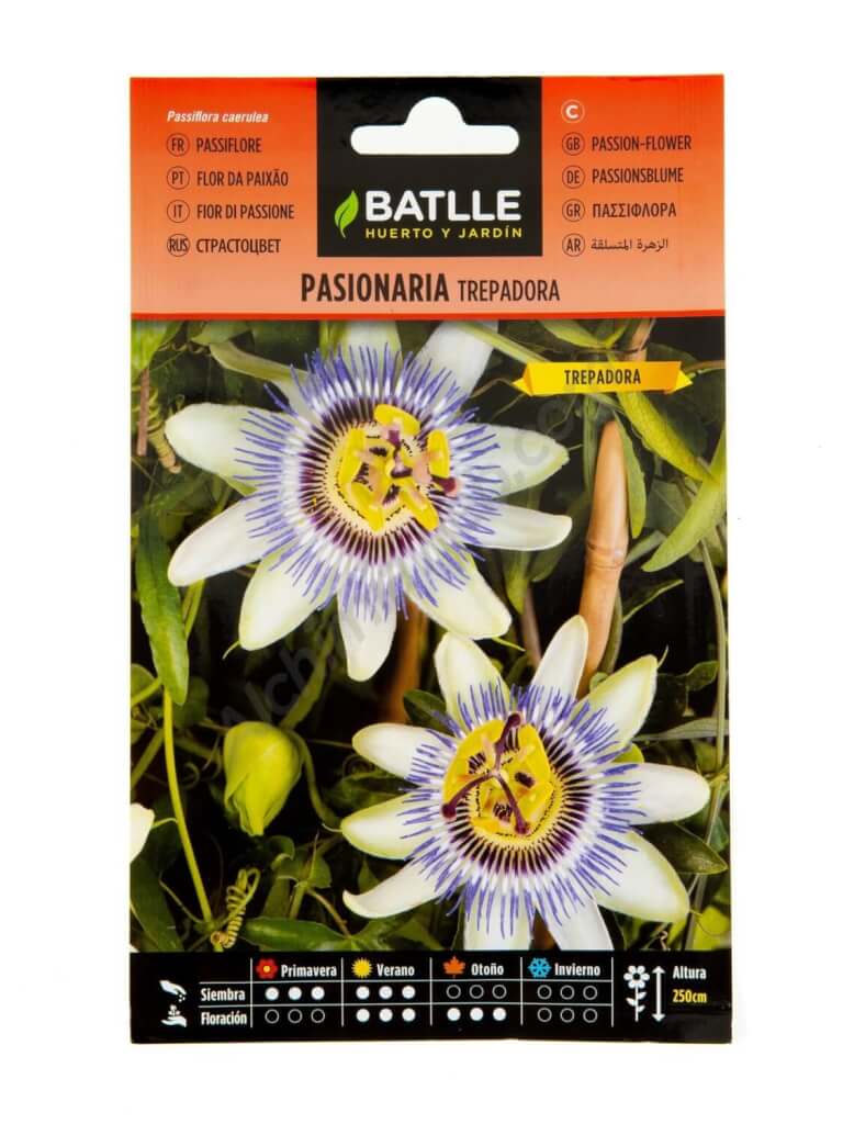 Pasionaria Trepadora Blanca - Batlle