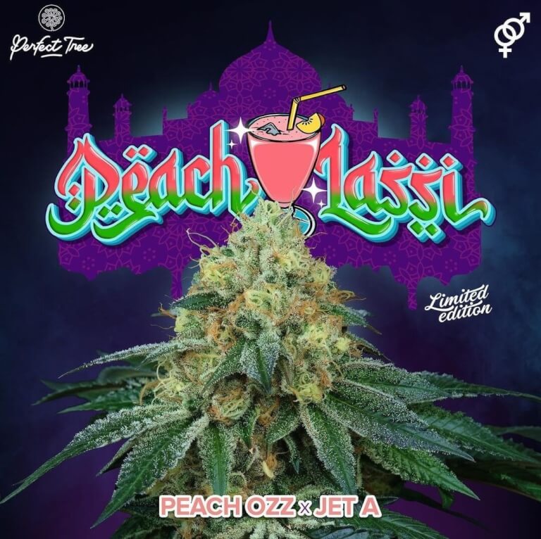 Peach Lassi