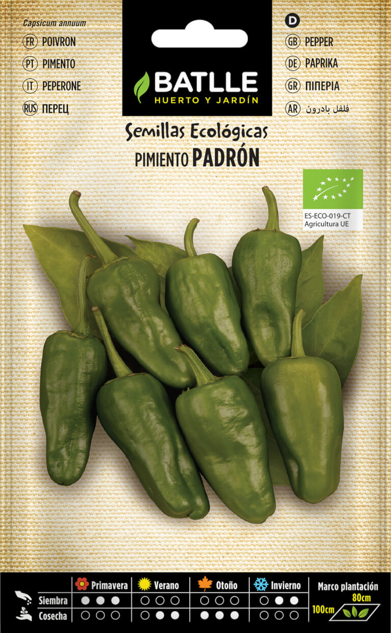 Pfeffer Padrón ECO