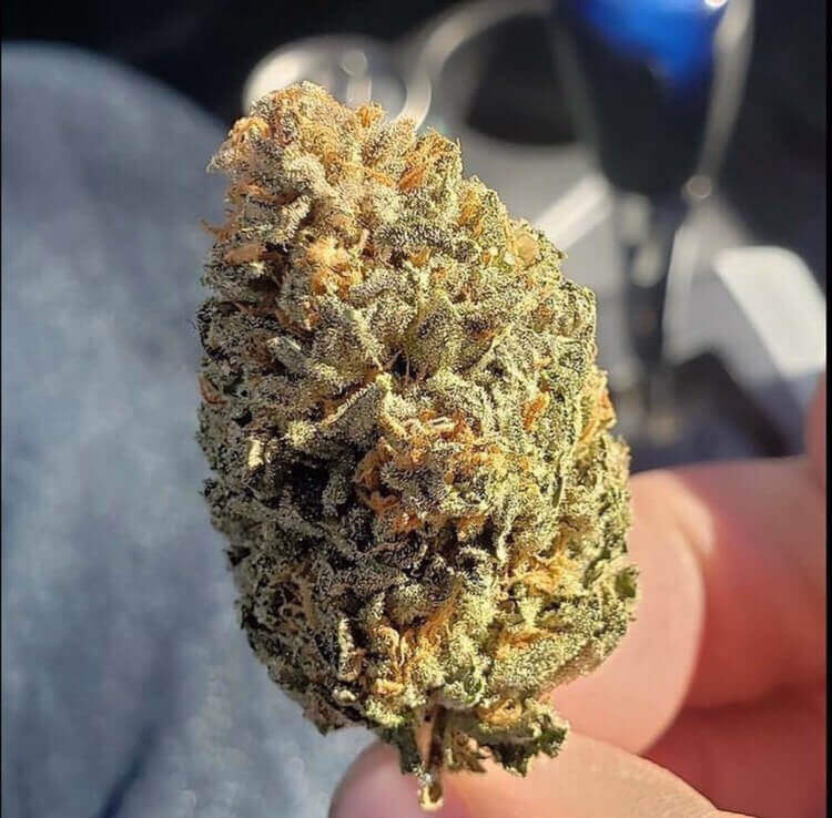Pineapple Kush Weed