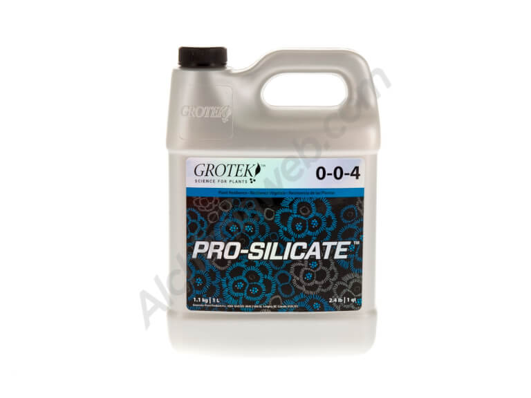 Pro-Silicate