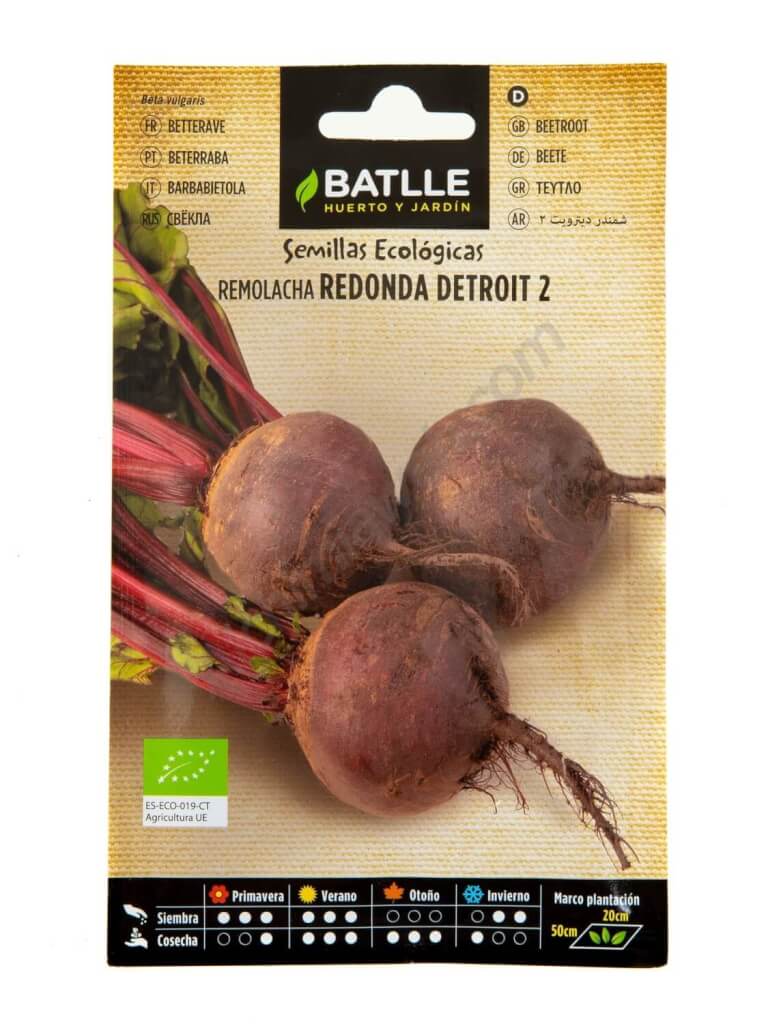 Runde Rote Beete Detroit 2