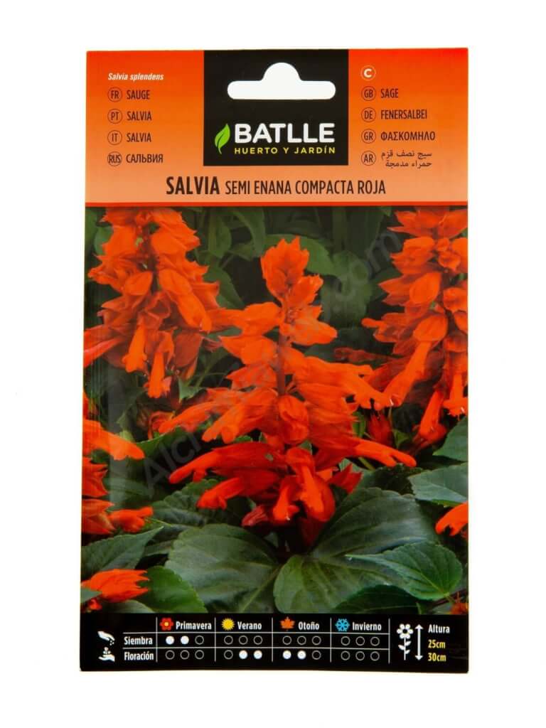 Batlle - Scarlet Sage