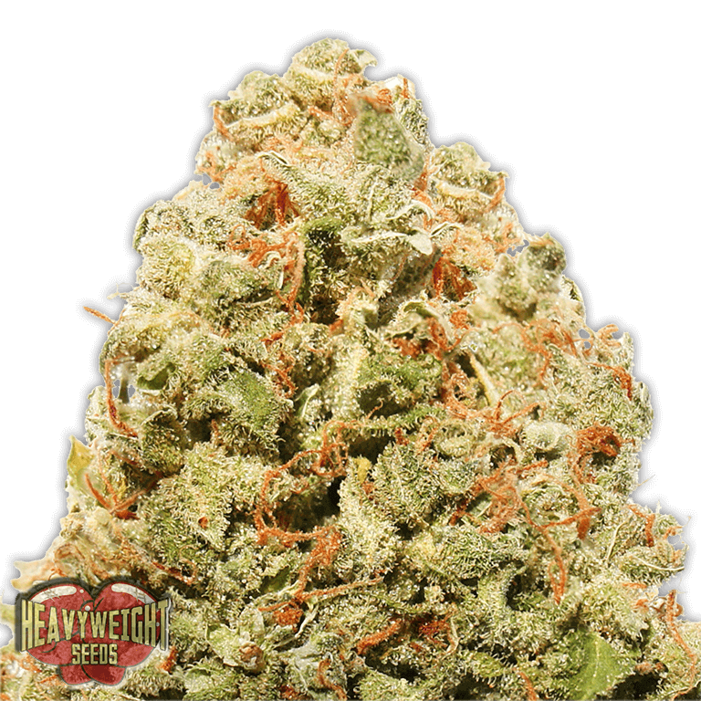 Strawberry Cake