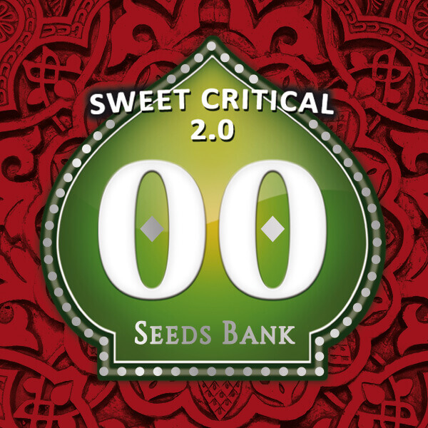 Sweet Critical 2.0