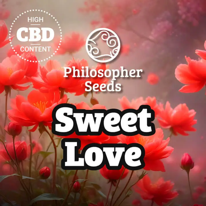 Sweet Love
