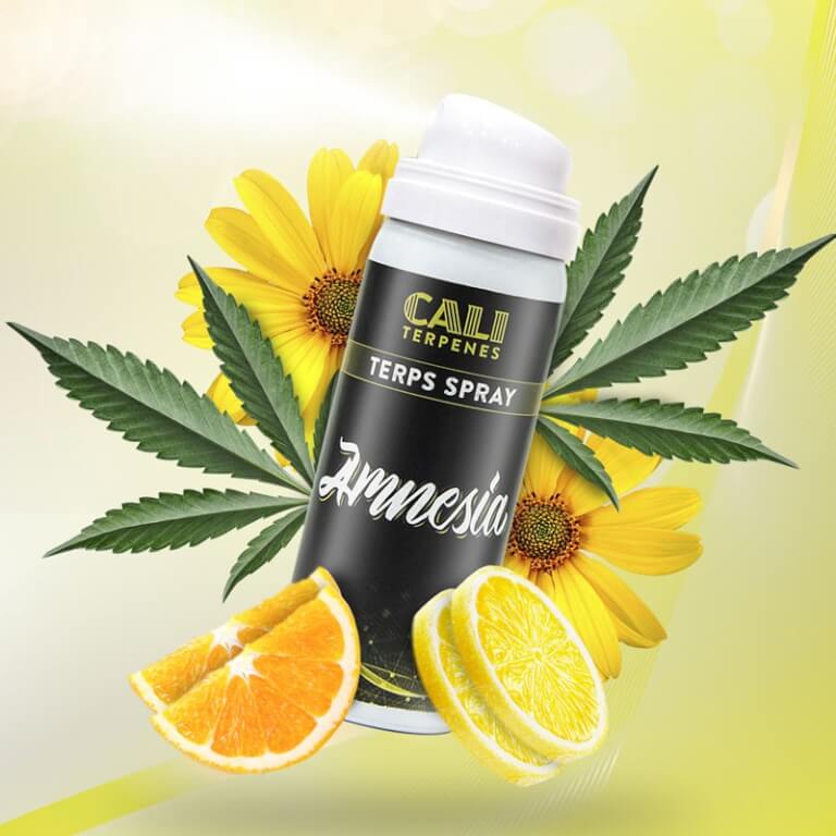 Terps Spray Amnesia