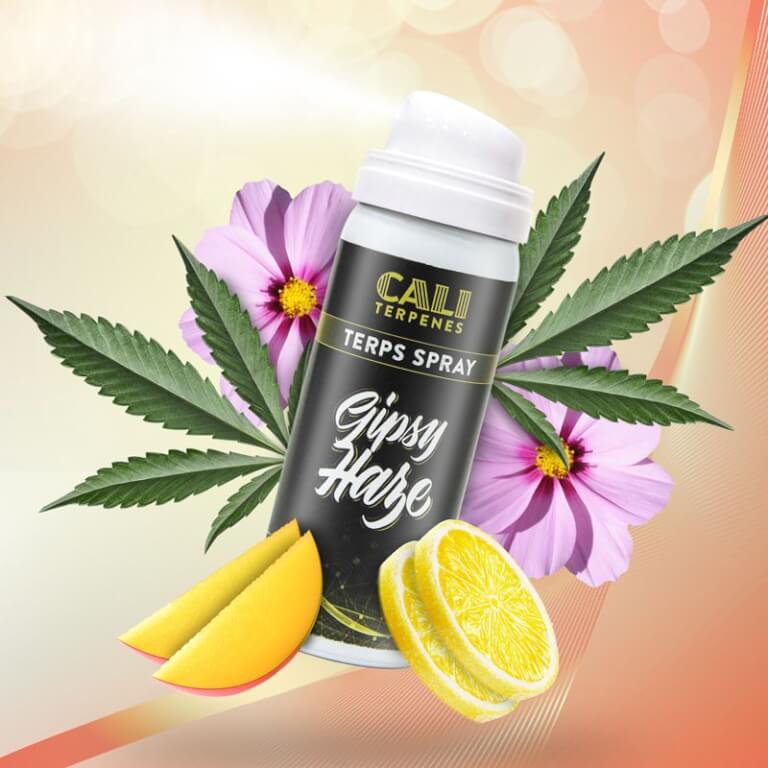 Terps Spray Gipsy Haze